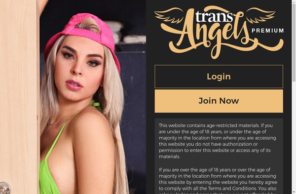 Trans Angels Premium