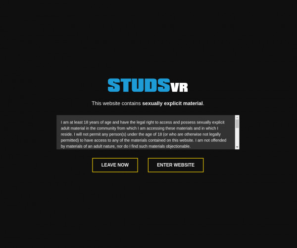 Studs VR