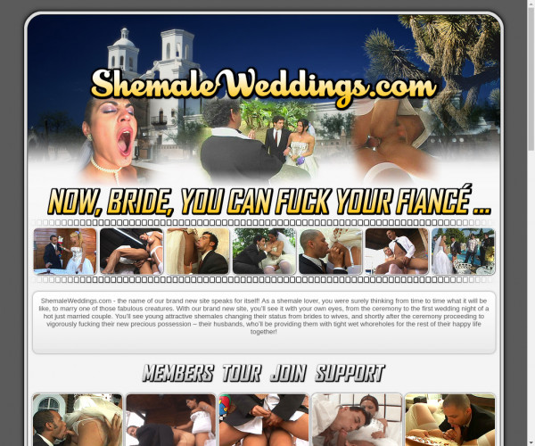 shemale weddings