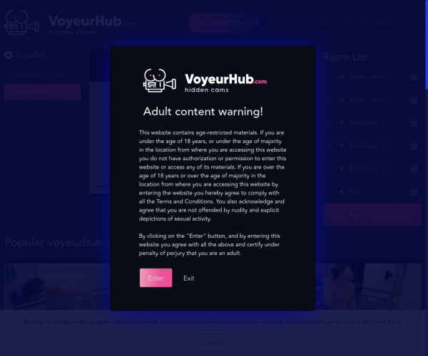 voyeur hub