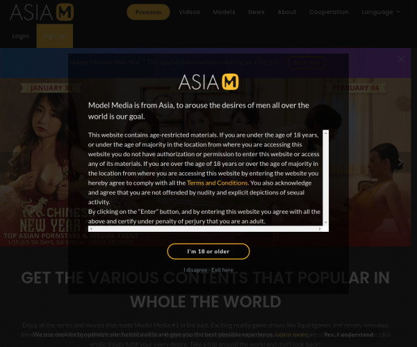 model media asia