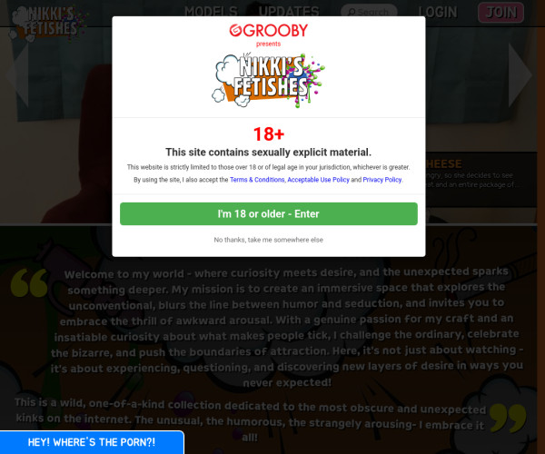 nikkis fetishes